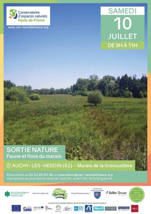 20210503-aff-sortie-nature-marais-grenouillere-10-juillet-1