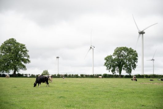 2022-06-ferme-du-haut-pays-13