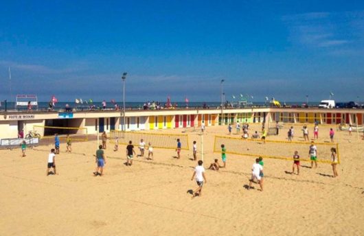 7e6c10cd-30c1-4e12-b345-1d37aeb3e489-beachvolley_mini