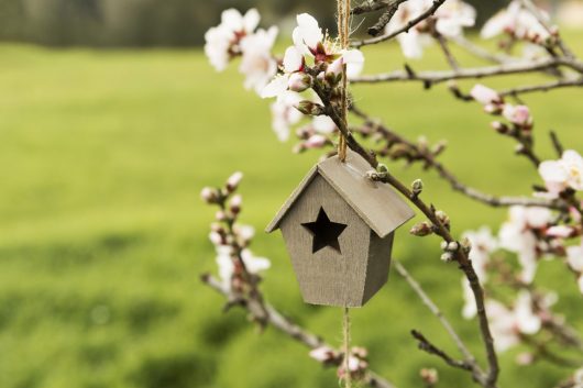 decoration-small-wooden-house-tree