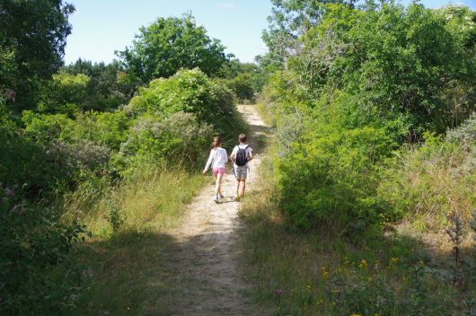 dunes-st-cecile-5-m-louchet