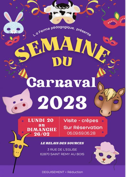 fevrier-20au26-stremyaubois-relaisdessources-carnaval