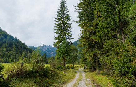 Naturaleza Ecothérapie