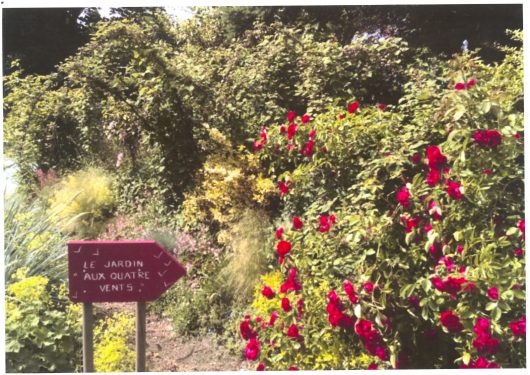 jardin-aux-quatre-vents-a-gennes-ivergny-1