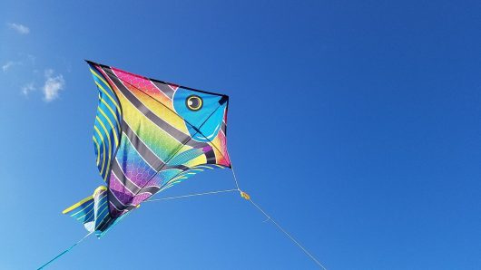 kite-2160948-1920