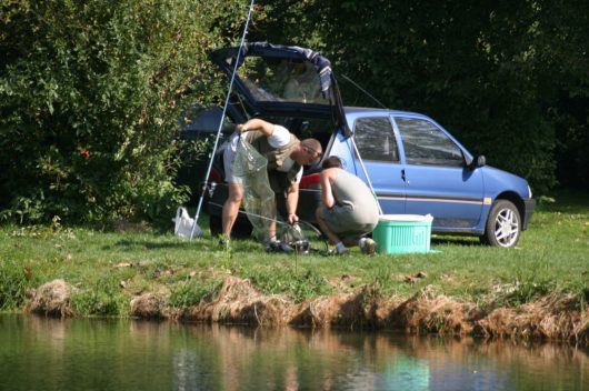 peche-voiture