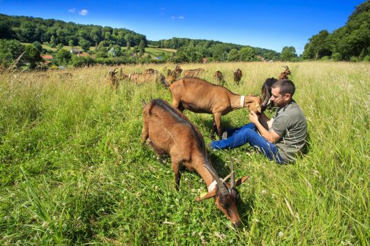 photo-anne-sophie-flament-chevrerie-de-la-planquette-production-fromages-de-chevres-fressin-2238-2