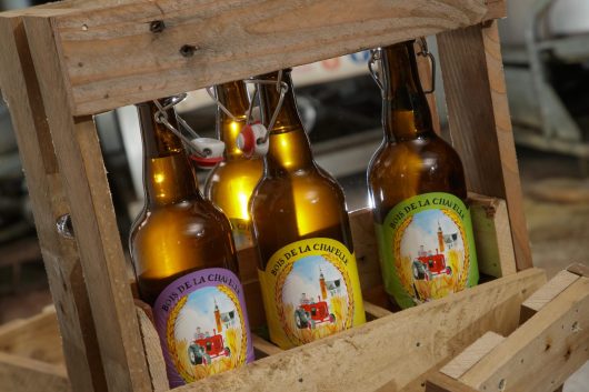 photo-anne-sophie-flament-ferme-brasserie-du-bois-de-la-chapelle-biere-fermiere-aymeric-hubo-torcy-7941