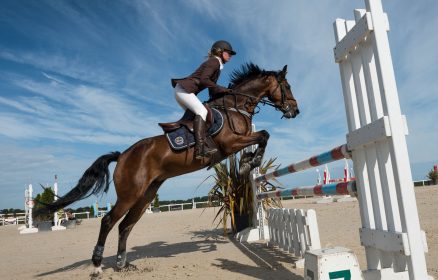 Equitation – Concours de Saut d’Obstacles National